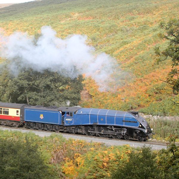 steam rail trips uk